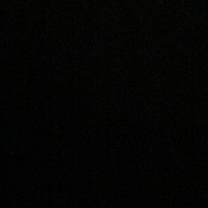 Meet your Posher, Bobby